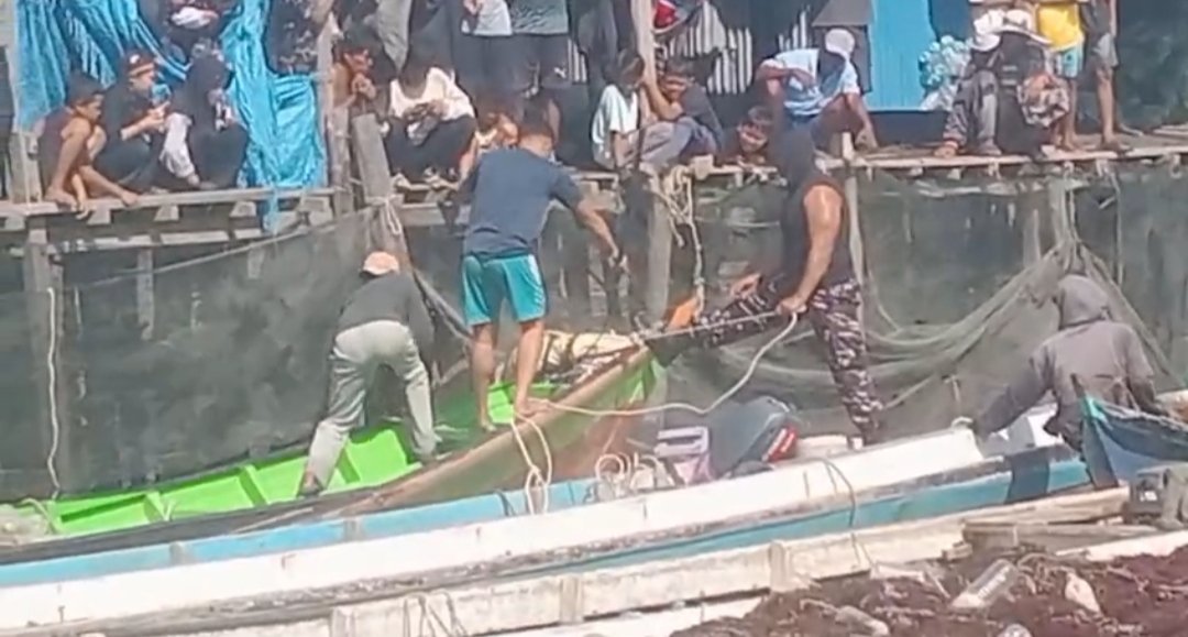 Warga Mamolo Mulai Geram, Satu Ekor Buaya Dibunuh