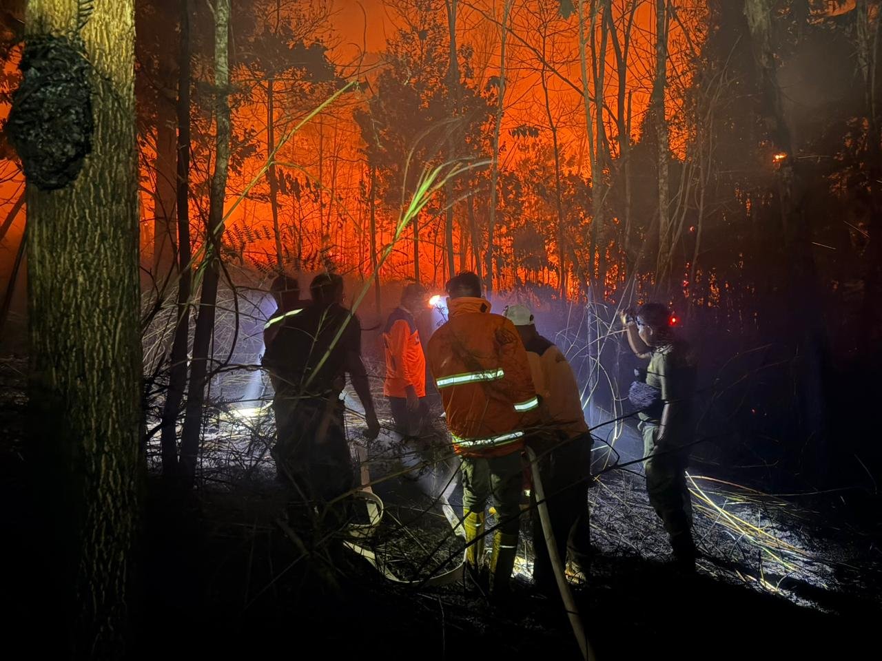 Karhutla Meningkat, Nunukan dan Nunukan Selatan Masuk Wilayah Rawan